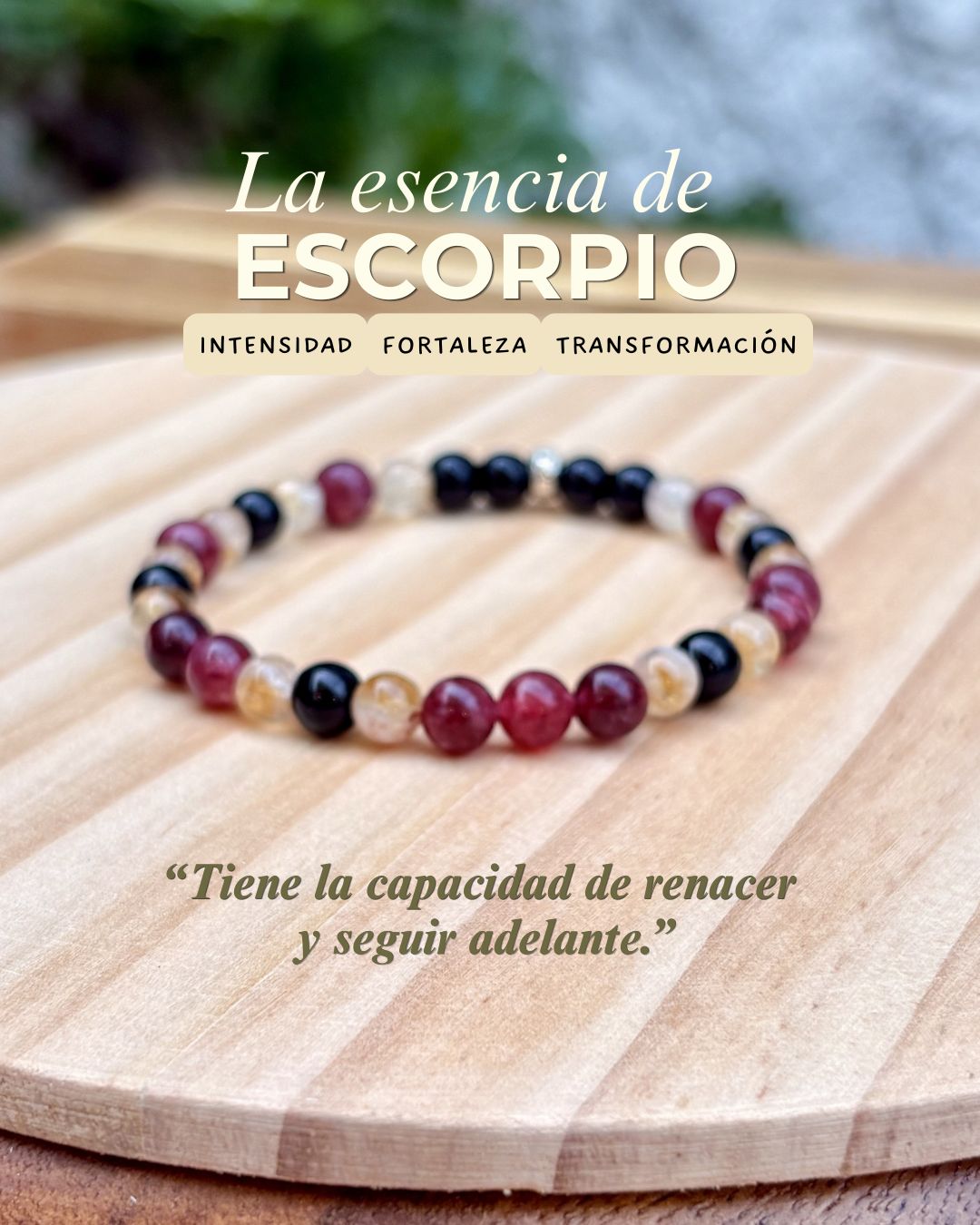 Pulsera Escorpio | Colección Signos - Imagen 3